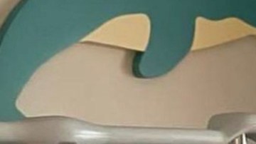 Pamela Silva cuidando a Ford luego de la cirugía