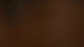 Floyd Mayweather Jr.