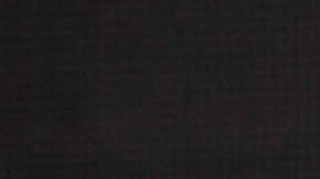 Julio Cesar Chavez Jr