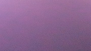 Julio Cesar Chavez Jr