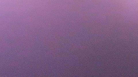 Julio Cesar Chavez Jr