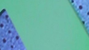 Tanga de Karol G queda a la vista al bajar la sábana y subir su franela