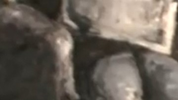 La exprimera dama Melania Trump lució en 2018 el sombrero que subasta.