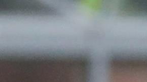 El imperdonable error del árbitro que evitó la victoria del Milan frente al Spezia