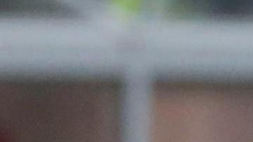 El imperdonable error del árbitro que evitó la victoria del Milan frente al Spezia