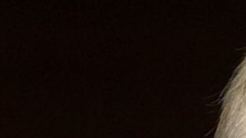 Paul Allen murió a los 65 años de edad