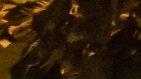 Restaurantes inusuales en EE.UU.