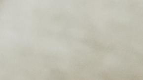 Suplementos de probióticos