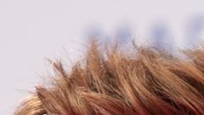 William Levy anuncia su separación de Elizabeth Gutiérrez