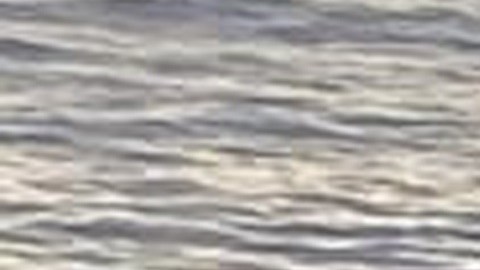 Naufragio inmigrantes Florida Guardia Costera