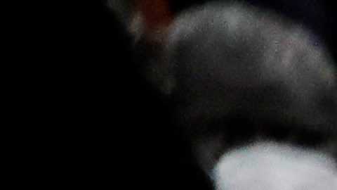 Ataúdes con los cuerpos de las víctimas del incendio en El Bronx fueron llevados al Centro Cultural Islámico, donde se realizaron las ceremonias fúnebres  este lunes.