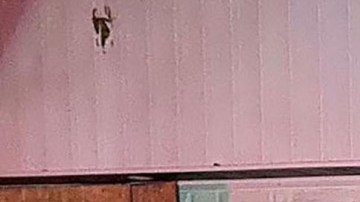 Dos autos, que chocaron contra la casa en días distintos, han provocado daños de más de $21,000 dólares.