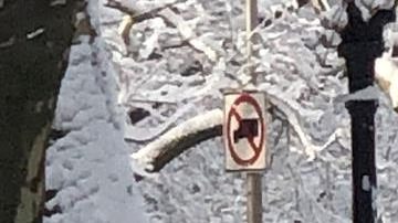 Consejos nevadas Nueva York Nueva Jersey