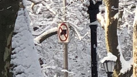 Consejos nevadas Nueva York Nueva Jersey