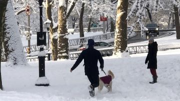 Consejos nevadas Nueva York Nueva Jersey