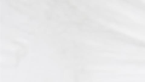 Diferencias Ómicron BA.2