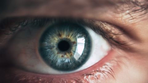 Cuándo voy a morir: Científicos encuentran la respuesta en los ojos