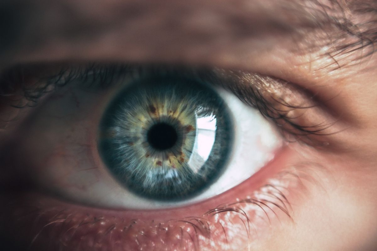 La diferencia entre la edad retiniana y la edad biológica implica un riesgo mayor de muerte.