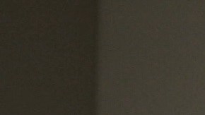 El hombre de 68 años, que también puede ser la primera víctima de la nueva variante del coronavirus en Latinoamérica,