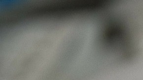 declaracion-de-impuestos