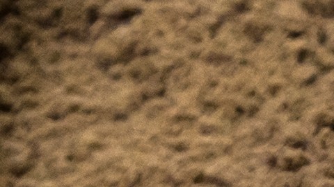 Descubren fósil gigante de Dragón de Mar de hace más de 180 millones de años