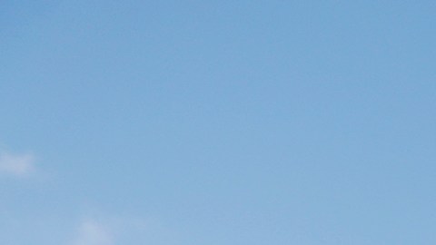 diney-world-parque-acuatico