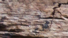 Le donó un riñón a su suegra y su novia le "paga" dejándolo y casándose con otro