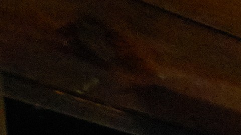 empleados-starbucks-mascarilla