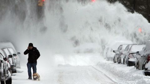 Perro atrapado en la nieve