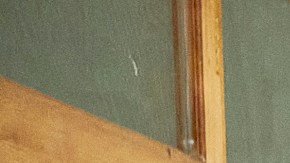 "All of us are Dead", la nueva serie de Netflix con temática zombie.