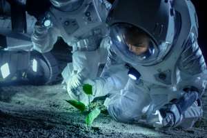 NASA ofrece $1 millón por crear sistemas innovadores para alimentar a los astronautas en el espacio