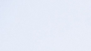 Vanessa es conocida en el mundo de la UFC como Lil Monster