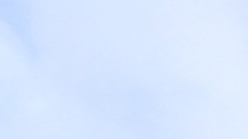 wawa-empleado-salva-cliente