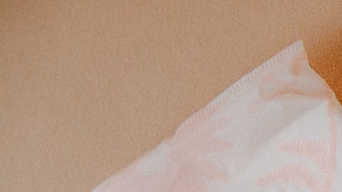 pantiprotectores