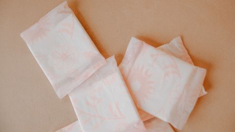 pantiprotectores