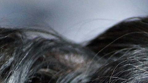 Lo que sienten los perros antes de morir, según los veterinarios
