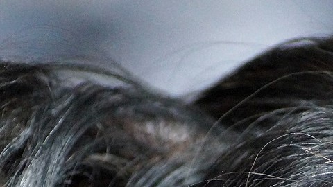 Lo que sienten los perros antes de morir, según los veterinarios