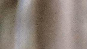 ozzie gorila atlanta