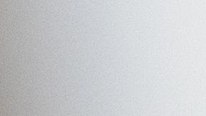 Pasajeros esperaron con paciencia hasta que el cisne se retiró de las vías.