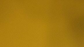 El requerimiento será para todos aquellos viajeros no nacionales que quieran cruzar la frontera con México o Canadá.