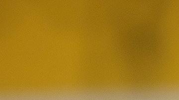 El requerimiento será para todos aquellos viajeros no nacionales que quieran cruzar la frontera con México o Canadá.