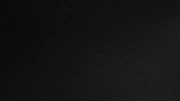 William y Carol Stewart se conocieron cuando tenían 4 años y estuvieron casados durante 44.