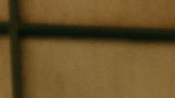 Las ventas de tequila sumaron 3,350 millones de dólares en los primeros 11 meses de 2021.