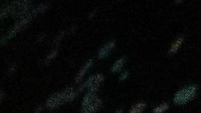 pexels-max-bonda-8366628