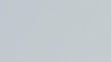 La roca no contiene pruebas de vida antigua ni primitiva.