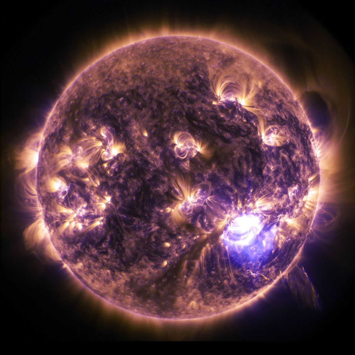 El Observatorio de Dinámica Solar de la NASA detectó una llamarada solar el 20 de enero de 2022. 