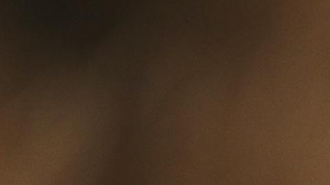 Las compañías deberán cubrir ocho test rápidos al mes por persona.