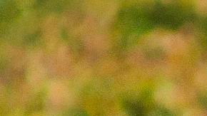 La pequeña de 4 años fue arrebatada de su cama en las primeras horas de la mañana hace 35 años.