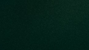 Compra un artículo en eBay y el vendedor era su padre a quien no conocía