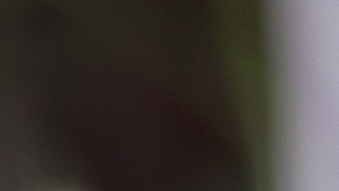 reencuentro hermanas 67 años Colombia